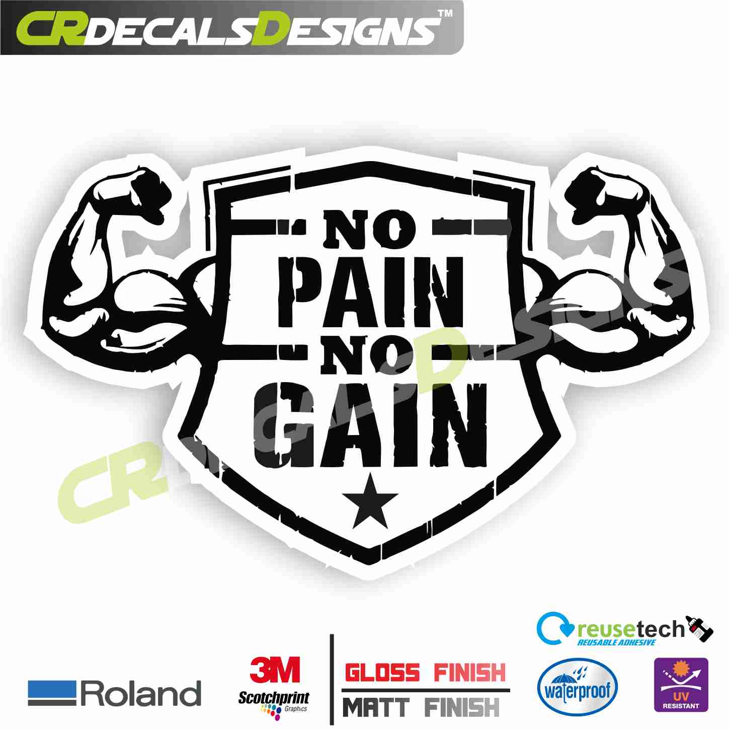 no pain no gain logo